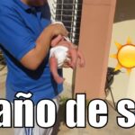 Cómo dar un baño de sol a un recién nacido